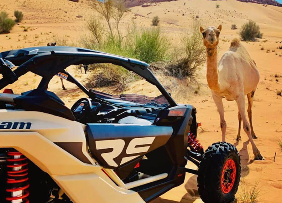 4-dune-buggy-adventure-in-dubai-uae